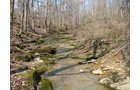 Property photo 1 - 137 Acres in 2 Tracts - 64 Tillable Acres, Potential Building Sites, Hunting
